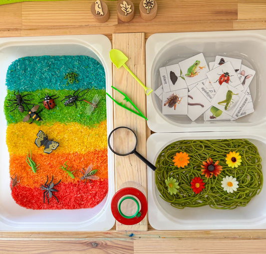 Educational setup with colorful rice layers, small plants, insects, and flowers.