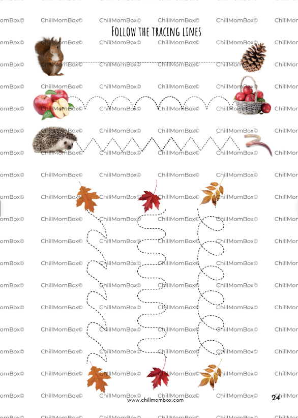 Autumn Activity Book for Kids (Ages 2β5) | Chillmom Montessori Play & Learn