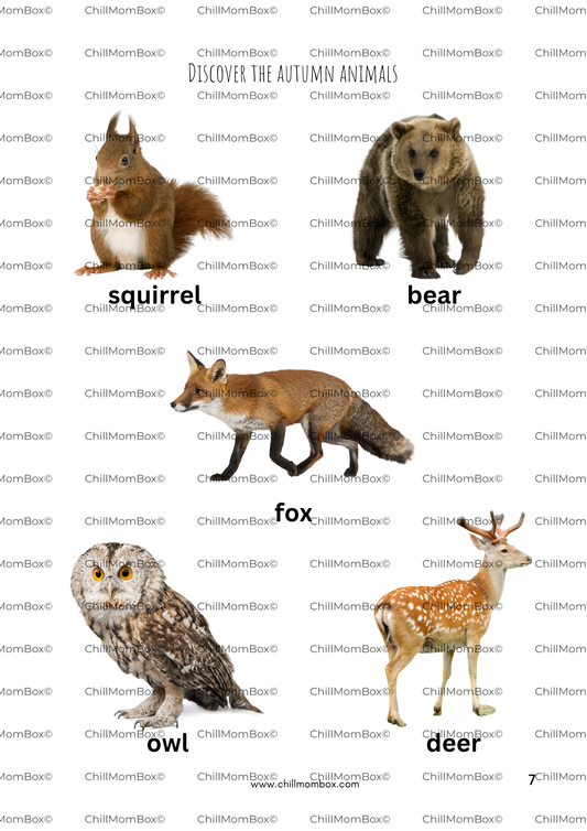 Set of animals including a squirrel, bear, fox, owl, and deer with labels on a white background.
