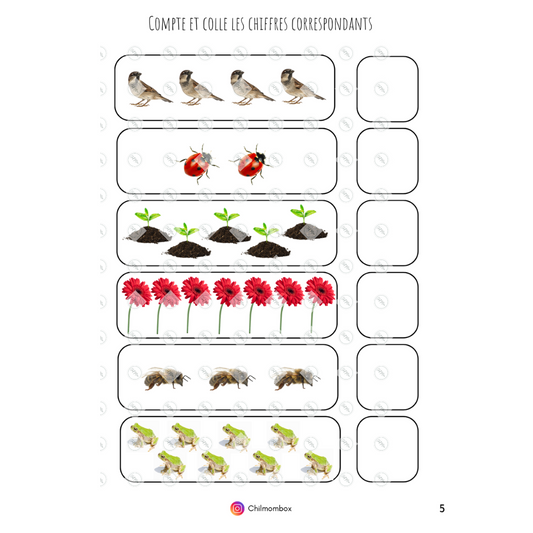 Educational worksheet with illustrations of animals and objects to match and count, featuring Chilombox branding.