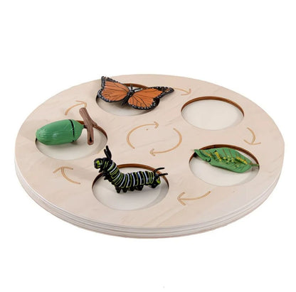 Growth Cycle-Wooden Activity Set