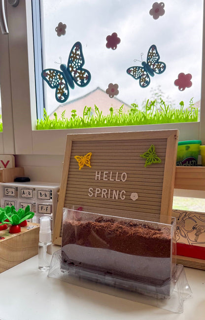 spring-planting-kit-feeling-seeds
