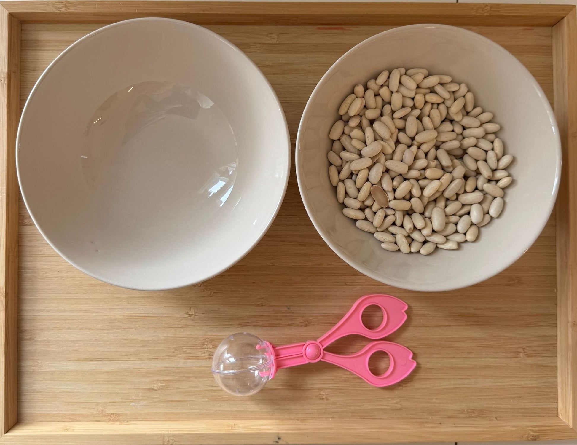 Montessori-inspired spring activity