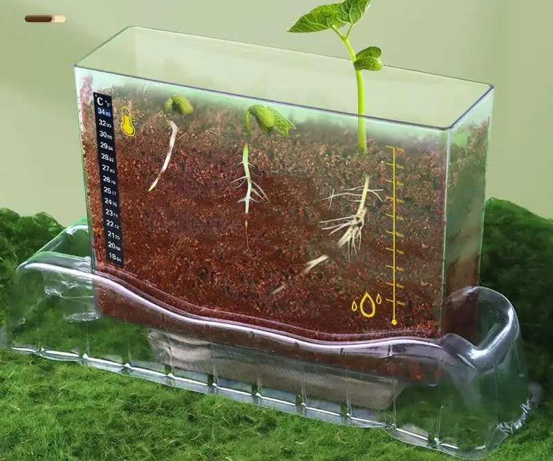 spring-planting-kit-feeling-seeds