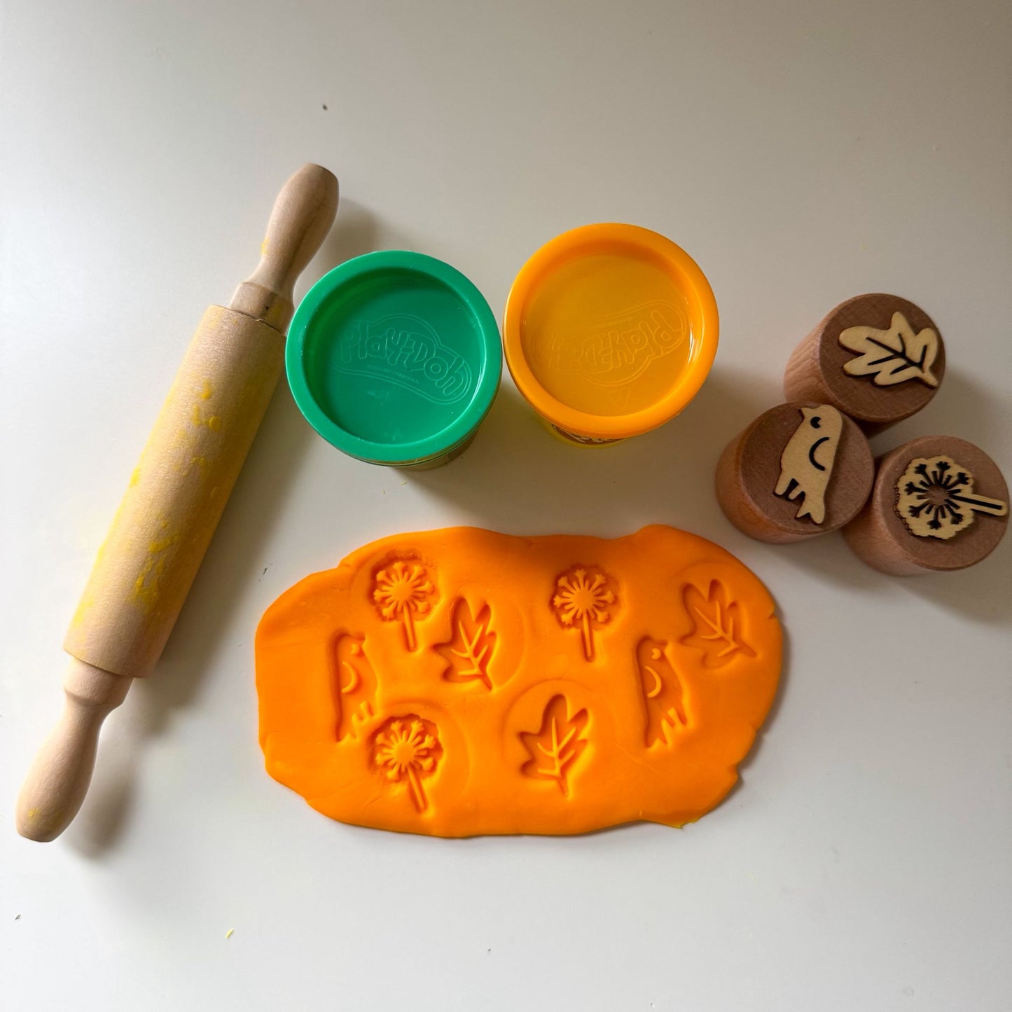 Play-dough set with tools and mats
