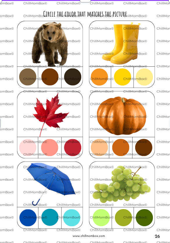 Autumn Activity Book for Kids (Ages 2–5) | Chillmom Montessori Play & Learn