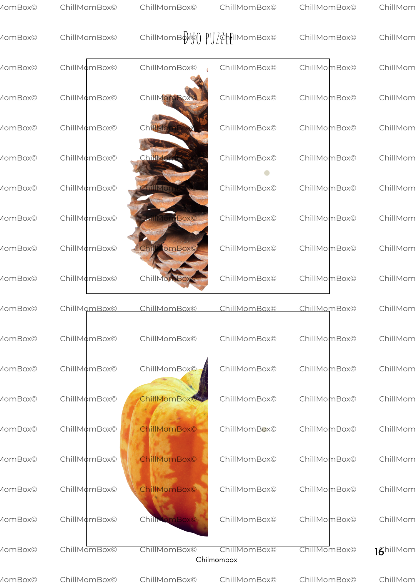 Pine cones and a pumpkin on a white background with 'ChimMomBox' branding.