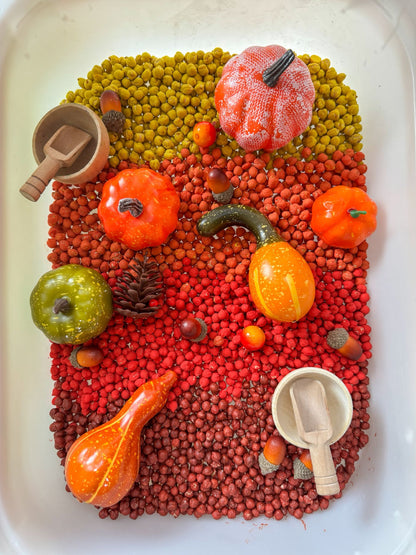 Colorful sensory bin with pumpkins, gourds, and other autumn-themed items on a white background.
