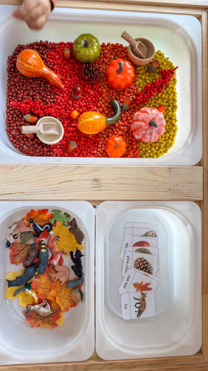Children's sensory bin with colorful fruits and vegetables and educational cards on a wooden surface.