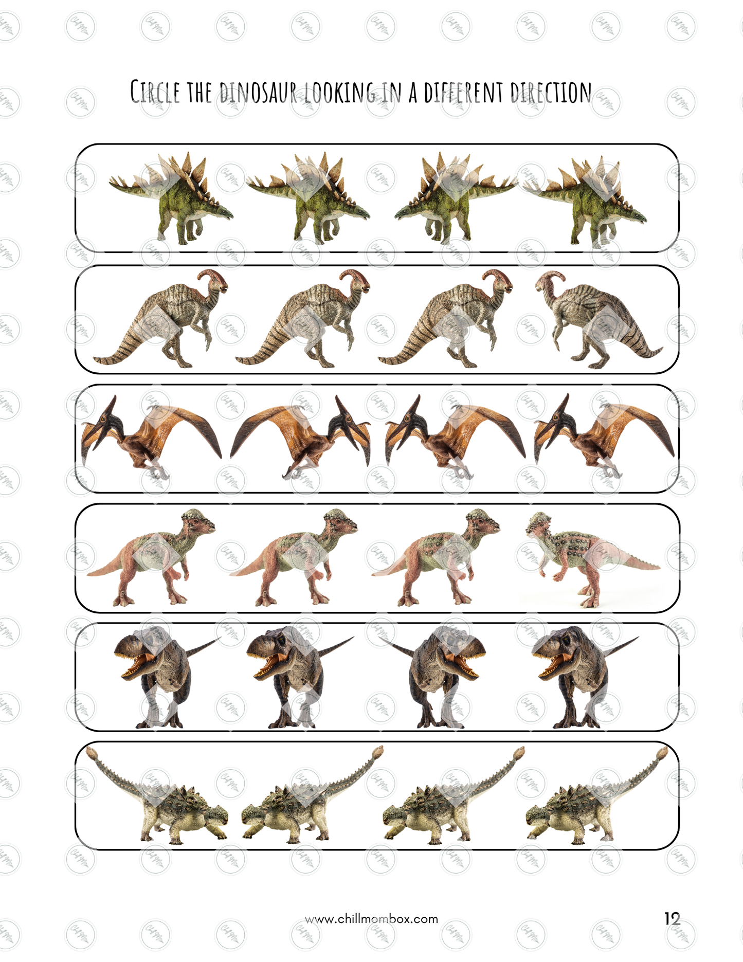 Sheet of dinosaur illustrations with a worksheet on a white background