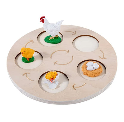 Growth Cycle-Wooden Activity Set
