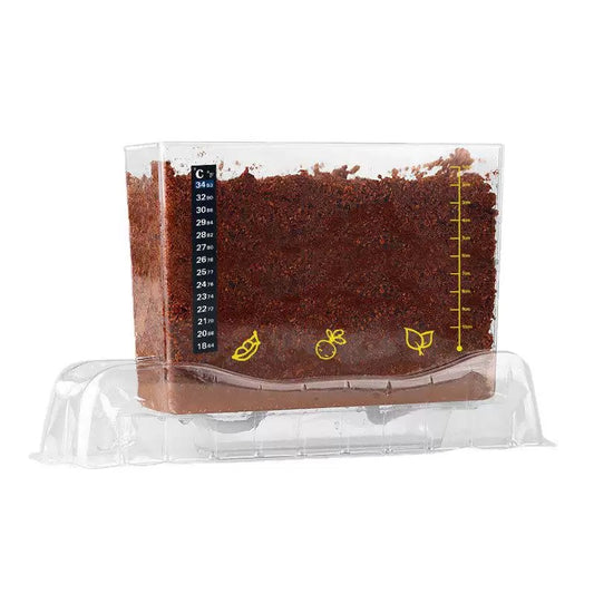 spring-planting-kit-feeling-seeds