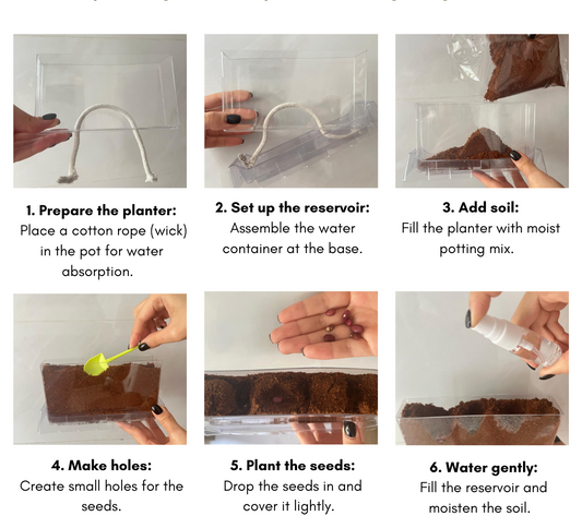 spring-planting-kit-feeling-seeds